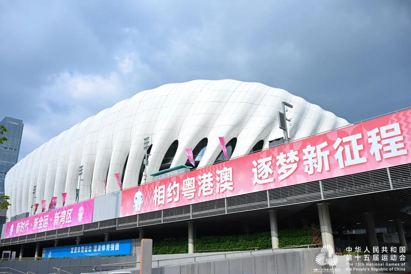 毛球也有十 毛球也有十