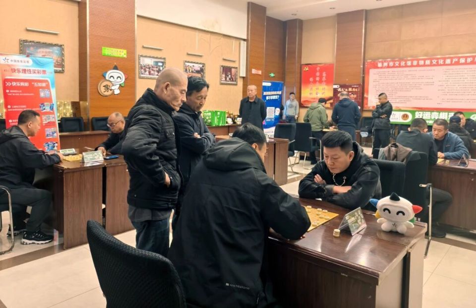 ely, 票全国象棋, inews ely, 票全国象棋, inews